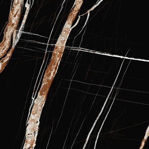 BLACK FOREST PORCELAIN _