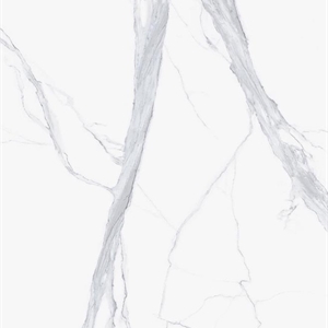 CALACATTA VENATO PORCELAIN_
